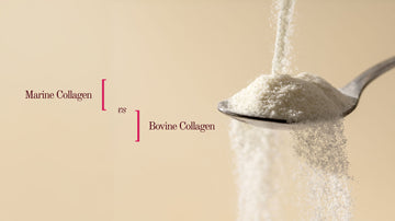 Understanding Marine vs Bovine Collagen
