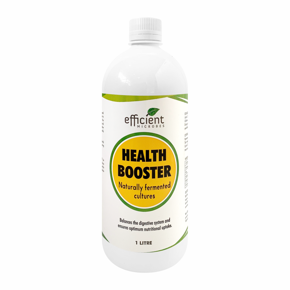 Probiotic Health Booster