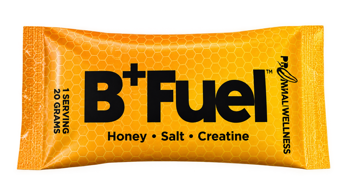 Primal Wellness - B+ Fuel Single Sachet